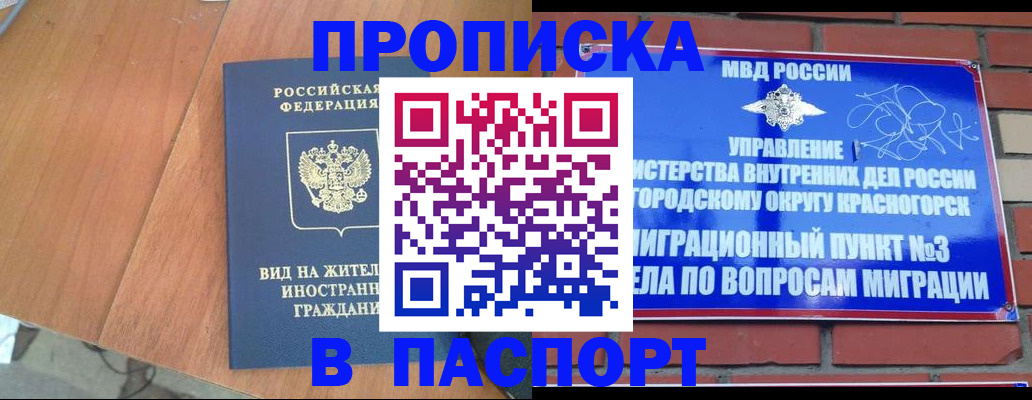 найти адрес прописки в Шебекино